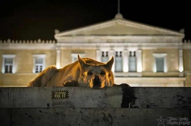 5 χρόνια χωρίς τον “Λουκάνικο”…Σαν φόρο τιμής! “Λουκάνικε” μαζί τα φάγαμε… τα δακρυγόνα